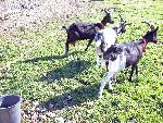 Photo DSC00928.JPG
